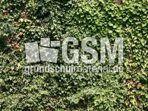 C-Hintergrund 023.jpg